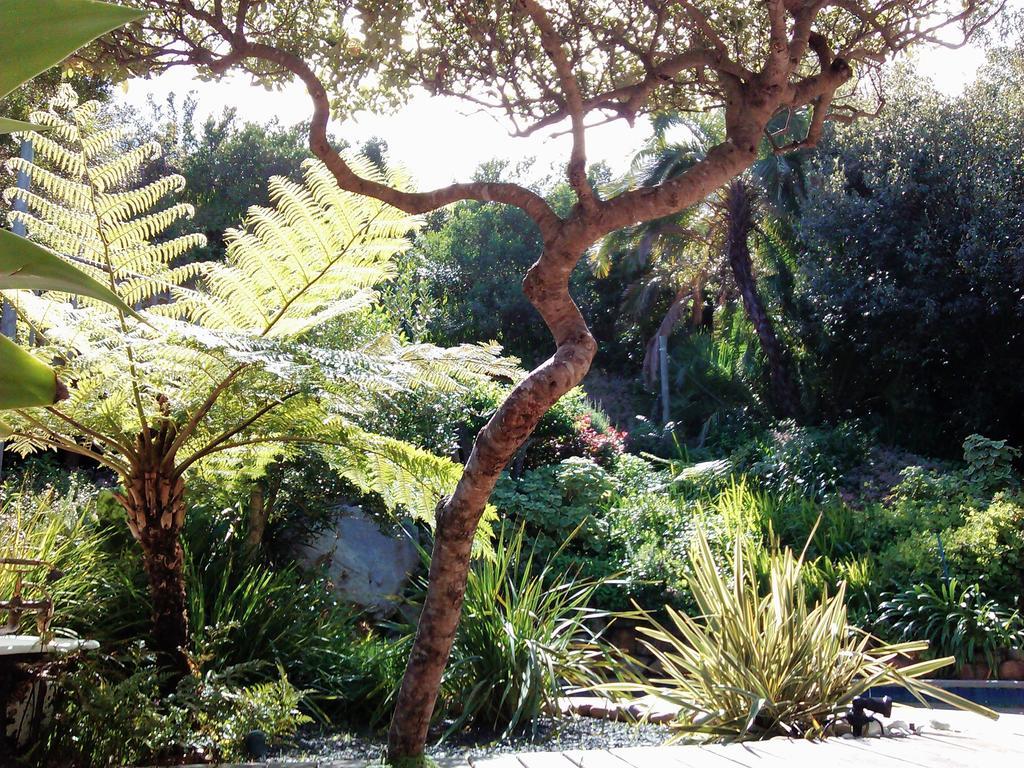 Hout Bay Hideaway Hotel ภายนอก รูปภาพ