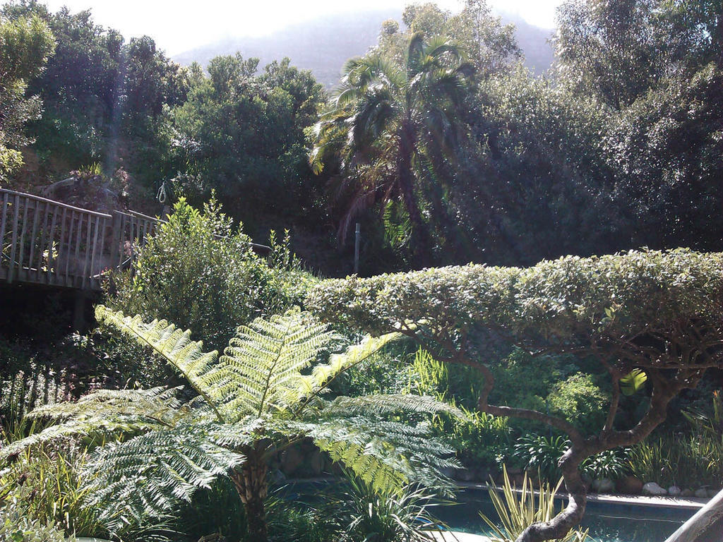 Hout Bay Hideaway Hotel ห้อง รูปภาพ